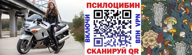 darknet официальный сайт  Поворино  Псилоцибиновые грибы Magic Shrooms  дарнет шоп 
